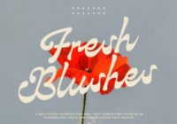 Fresh Blushes Font - Featured Image