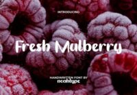 Fresh Mulberry Font - Featured Image