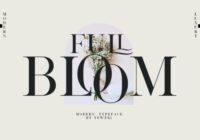Full Bloom Font - Featured Image