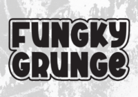 Fungky Grunge Font Font - Featured Image