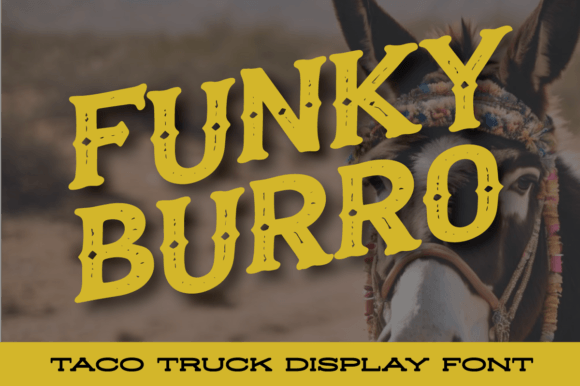 Funky Burro Font - Featured Image