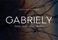 Gabriely Font - Featured Image