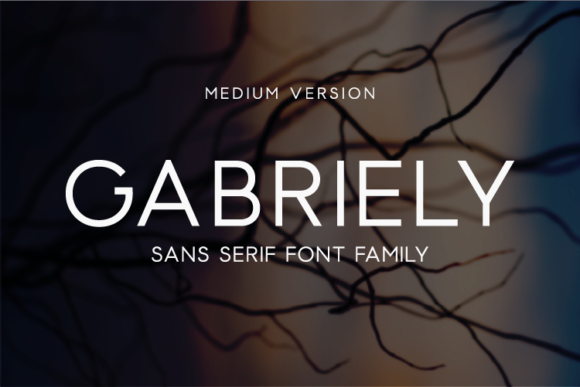 Gabriely Medium Font - Featured Image