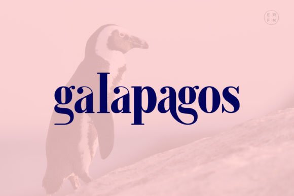 Galapagos Font - Featured Image