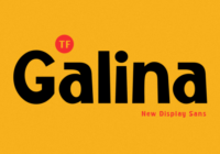 Galina Font Font - Featured Image