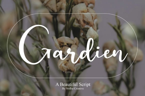 Gardien Font - Featured Image
