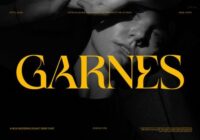 Garnes Font - Featured Image