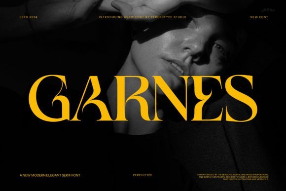 Garnes Font - Featured Image