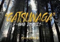 Gatsunaga Hand Brushes Font - Featured Image