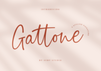 Gattone Font - Featured Image