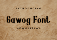 Gawog Font - Featured Image