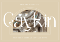 Gaykin Font - Featured Image