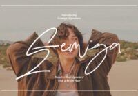 Gemiga Font - Featured Image