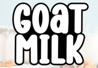 Goat Milk Font - Featured Image