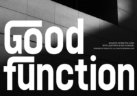 Good Function Font - Featured Image