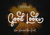 Good Looks Font - Featured Image