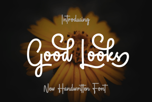 Good Looks Font - Featured Image
