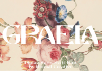 Graela Font - Featured Image