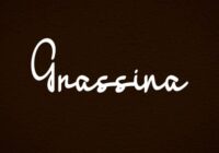 Grassina Font - Featured Image