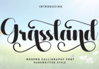 Grassland Font - Featured Image