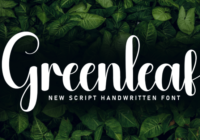 Greenleaf Font - Featured Image