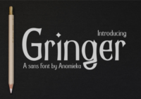 Gringer Font - Featured Image