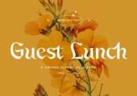 Guest Lunch Font - Featured Image