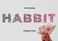 Habbit Font - Featured Image
