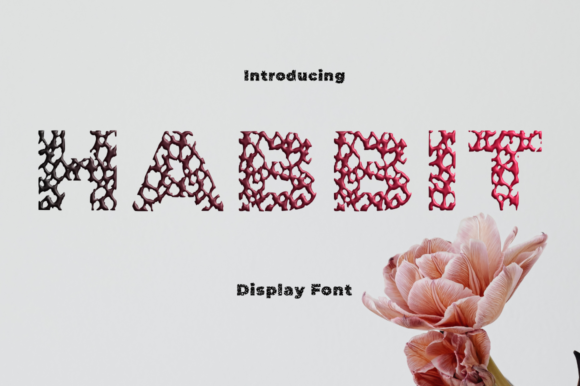 Habbit Font - Featured Image