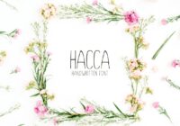 Hacca Font - Featured Image