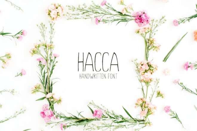 Hacca Font - Featured Image