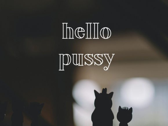 Hachi Font - Featured Image