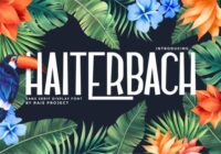 Haiterbach Font - Featured Image