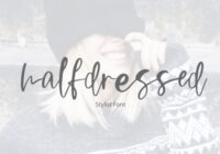 Halfdressed Font - Featured Image