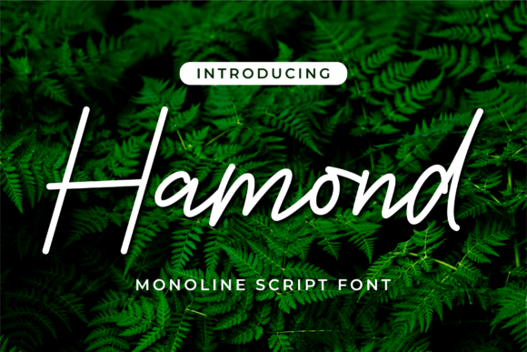 Hamond Font - Featured Image