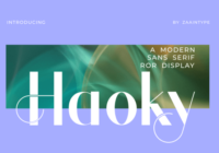 Haoky Font - Featured Image