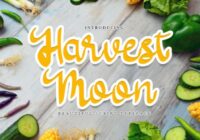 Harvest Moon Font - Featured Image