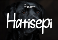 Hatisepi Font - Featured Image