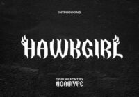 Hawkgirl Font - Featured Image