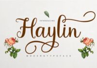 Haylin Script Font - Featured Image
