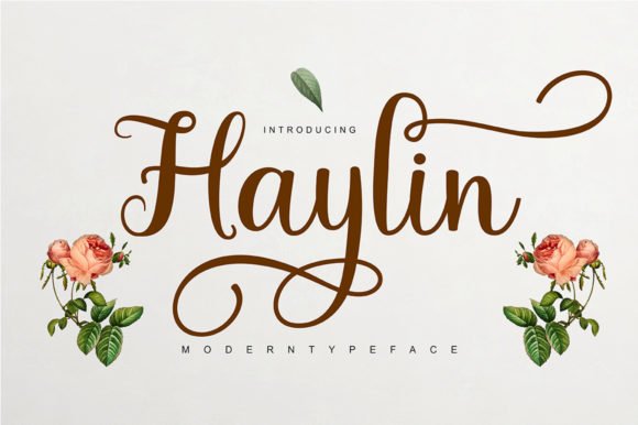 Haylin Script Font - Featured Image