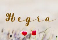 Hegra Font - Featured Image