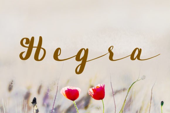 Hegra Font - Featured Image