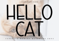 Hello Cat Font - Featured Image