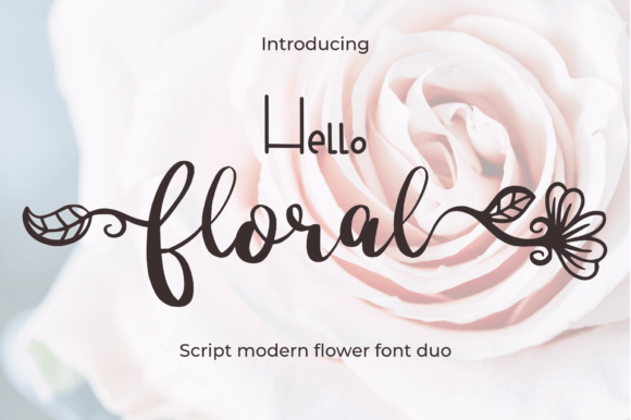 Hello Floral Font - Featured Image