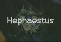 Hephaestus Font - Featured Image