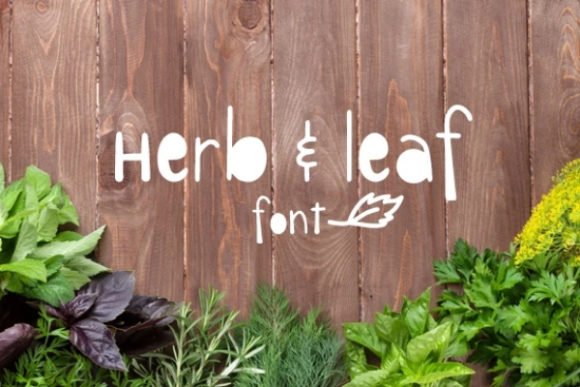 Herb & Leaf Font - Featured Image