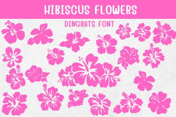 Hibiscus Flowers Font - Featured Image