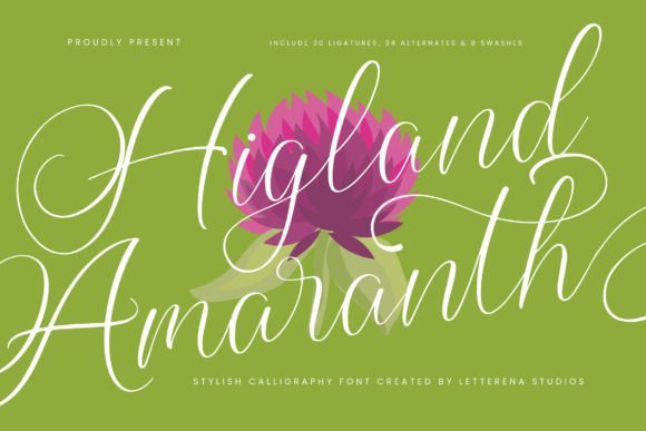 Higland Amaranth Font - Featured Image