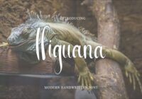 Higuana Font - Featured Image
